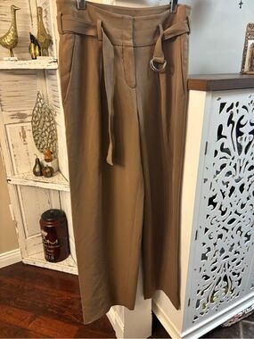 Aritzia BABATON Pleated Trouser in Camel